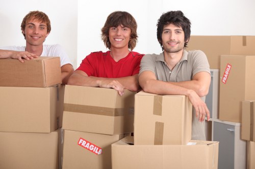 Professional movers assisting with a household move